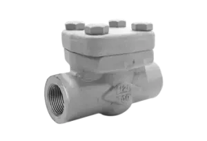 Forged Steel Check Valve Manufacturer